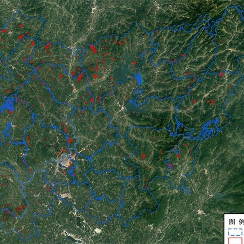 高州市2022年森林督查暨全国森林、草原、湿地调查监测
